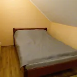 Dom Pod Wierzbami Chalet *