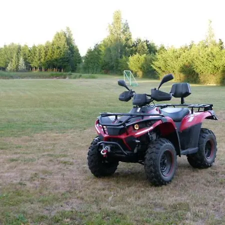 Dom Pod Wierzbami Chalet *